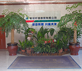 公司简介